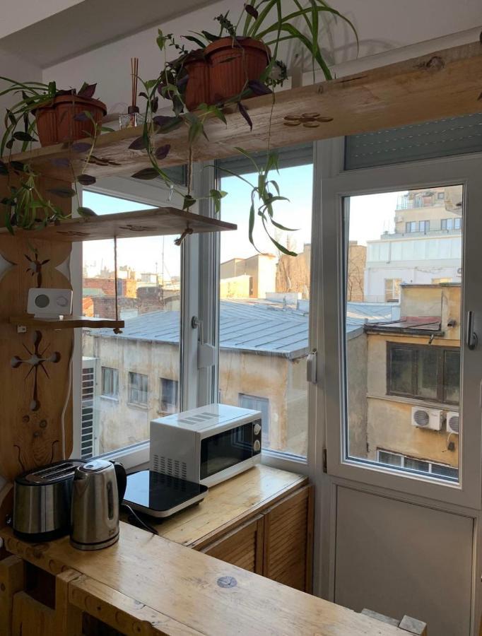 Apartment Armeneasca Cozy